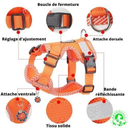 harnais-petit-chien-respirant-réfléchissant-souple