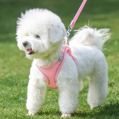 harnais-petit-chien-noir-harnais-chien-resistant-ajustable-respirant-duarble-harnais-facile-a-mettre-reglable-reflechissant-lavable-rose