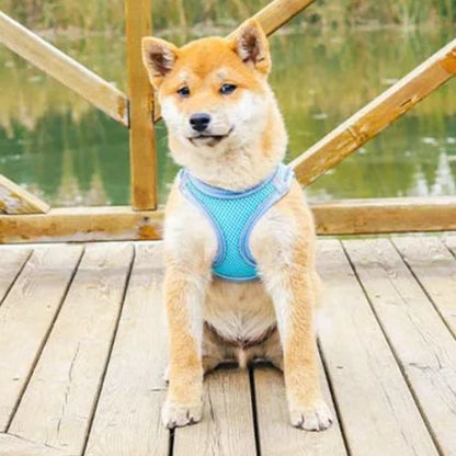 harnais-petit-chien-noir-harnais-chien-resistant-ajustable-respirant-duarble-harnais-facile-a-mettre-reglable-reflechissant-lavable-turquoise