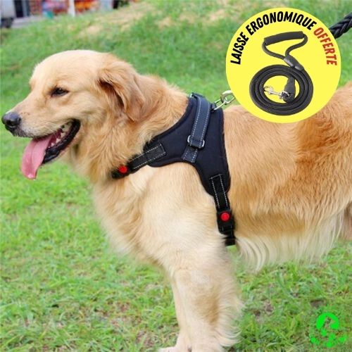 harnais-pour-chien-anti-traction-reglable-ajustable-noir-harnais-chat