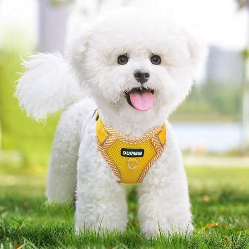 Harnais petit chien réglable jaune adapté aux promenades quotidiennes