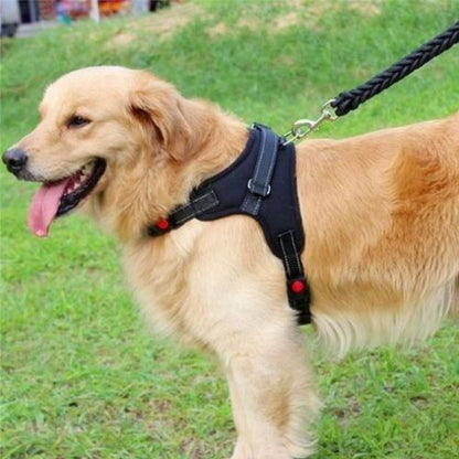 Golden Retriever portant un harnais pour chien noir réglable, confortable et robuste, idéal pour la promenade