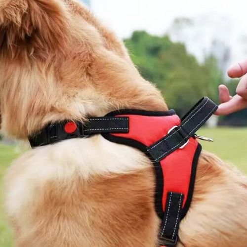 Un harnais pour chien rouge avec un poignée résistante pour les gros chien qui tirent