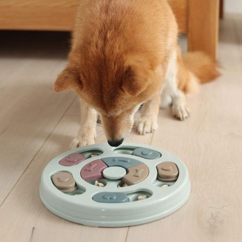 Chien qui utilise un jeu intelligence chien pour trouver sa nourriture et s’occuper