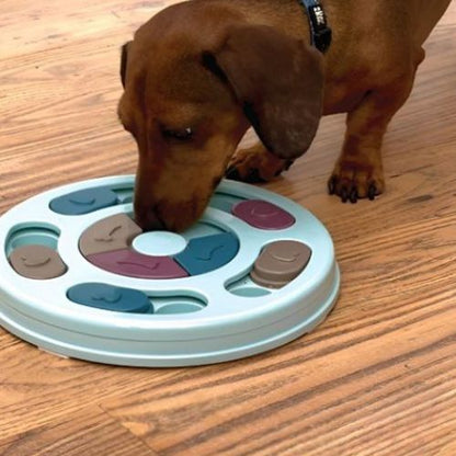 Chien concentré utilisant un jeu intelligent chien bleu pour trouver ses croquettes
