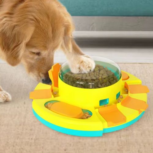 Golden retriever occuper à chercher les croquettes dans un jeu intelligence chien éducatif ralentit l'alimentation