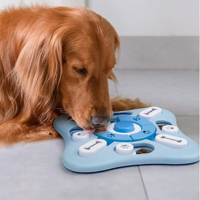 Golden retriever qui joue avec un jeu intelligence chien éducatif