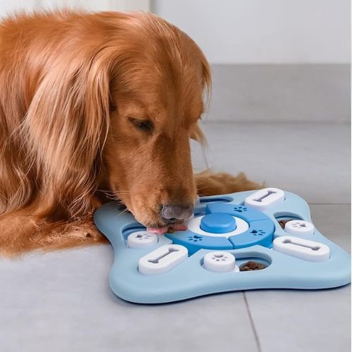 Golden retriever qui joue avec un jeu intelligence chien éducatif