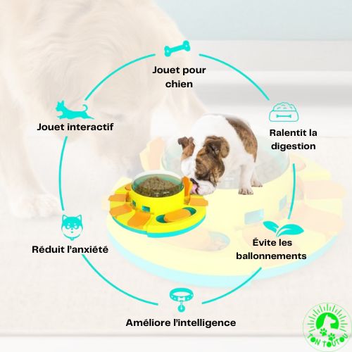 jeu-intelligence-chien-interractif