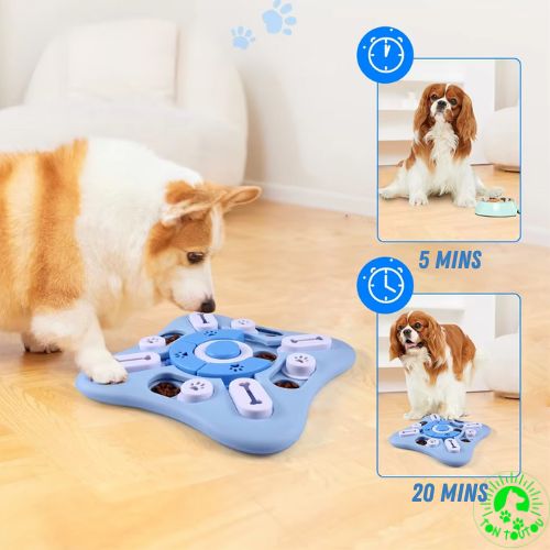 jeu-intelligence-chien-rigolote-educatif-puzzle-interactif-ludique