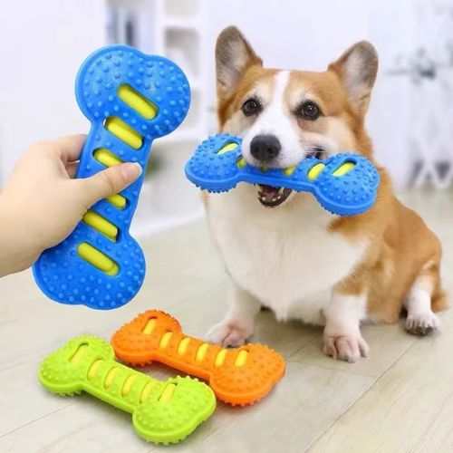 Jouet chien indestructible os mastication durable