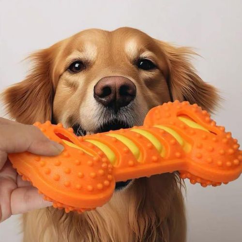 Golden Retriever tenant un os couineur orange et jaune, illustrant la prise en main ergonomique de ce jouet chien indestructible adapté aux races moyennes et grandes.