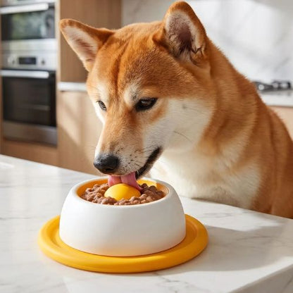 Shiba Inu mangeant dans une gamelle blanche avec base jaune anti-dérapante et balle jaune intégrée, démontrant l'efficacité de ce jouet chien anti-glouton pour ralentir la prise de repas et stimuler l'occupation mentale.