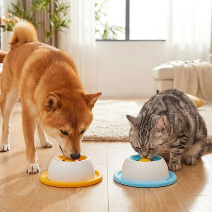 Shiba Inu et chat tabby mangeant côte à côte dans des bols anti-glouton jaune et bleu, illustrant la compatibilité de ce jouet chien avec les félins pour une occupation mentale partagée
