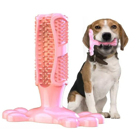 Jouet mastication chien rose en silicone souple aux picots dentaires présenté avec un chien