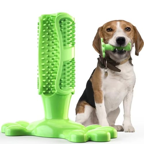 Chien tenant dans sa gueule un jouet mastication chien vert résistant avec brosse dentaire