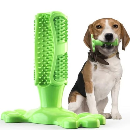 Chien tenant dans sa gueule un jouet mastication chien vert résistant avec brosse dentaire