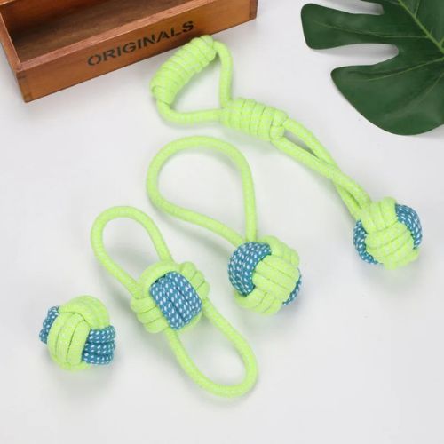 Lot de quatre modèles de jouet en corde pour chien posés sur une surface claire.