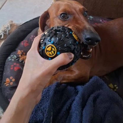 Chien occupé avec un jouet pour chien anti stress et stimulant