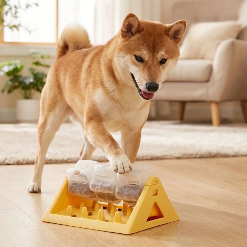 Shiba Inu, heureux et concentré, en train d'interagir avec un jouet pour chien et distributeur de croquettes interactif jaune et de stimulation mentale.