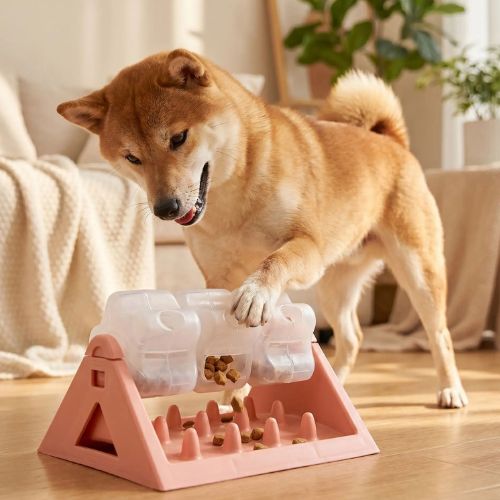 Un Shiba inu occupé de son jouet pour chien éducatif rose anti-glouton, pour récupérer les croquettes.