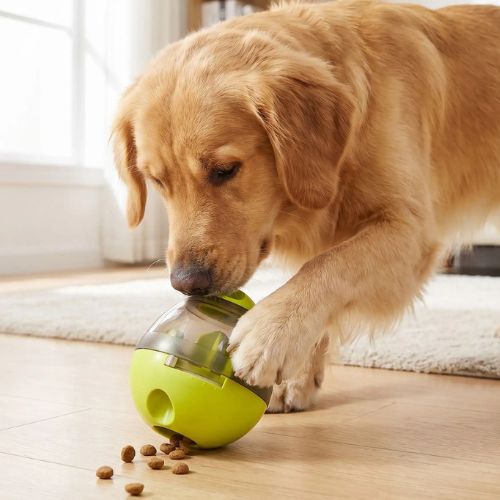 Chien golden retriever utilisant un jouet pour chien interactif distributeur de croquettes vert pour stimulation mentale et alimentation lente
