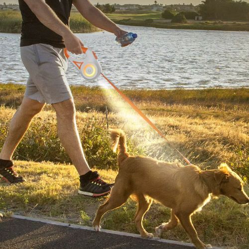 Un homme promène son chien bord du lac à l'aide d'une laisse pour chien rétractable lumineuse et résistante orange