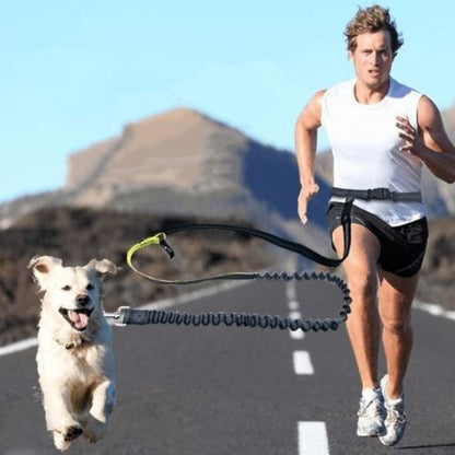 Joggeur courant avec son chien attaché à une laisse pour chien main libre élastique