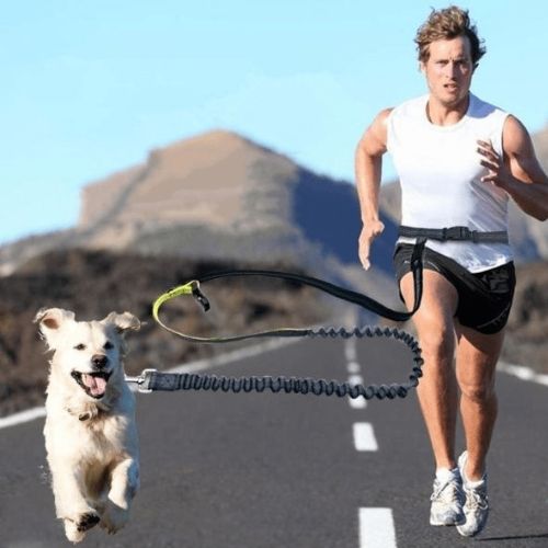 Joggeur courant avec son chien attaché à une laisse pour chien main libre élastique