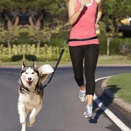 Course en plein air avec chien équipé d’une laisse pour chien main libre noir élastique