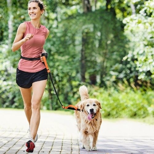 Chien heureux courant avec sa maîtresse grâce à une laisse pour chien main libre orange