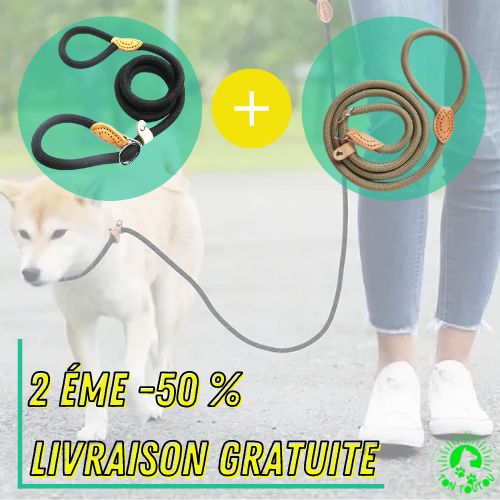 laisse-pour-chien-promo-livraison-gratuite