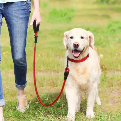 Un labrador tenu en laisse pour chien ergonomique adaptée aux longues balades 