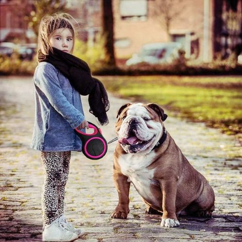 Une petite fille accompagnée de son gros chien attaché en laisse pour gros chien enrouleur pour une balade matinale 