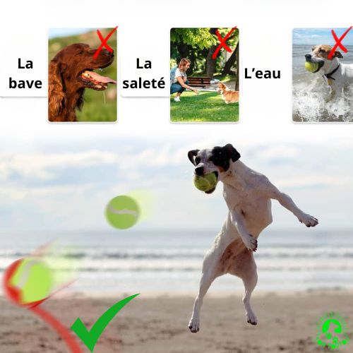 lanceur-de-balle-pour-chien-long