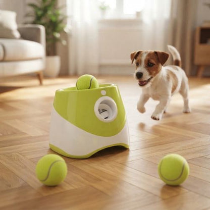 Un Jack Russell jouant avec son lanceur de balle pour chien sur un parquet.