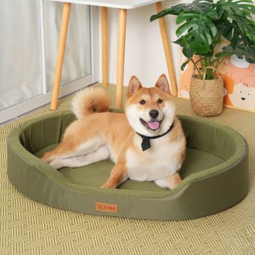 Un chien assis tranquillement dans son lit chien vert format ovale moelleux offre un repos réparateur 