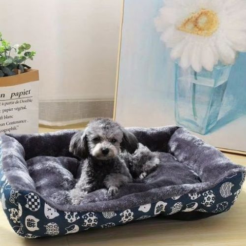 Chien détendu allongé sur un Lit chien bleu confortable et doux