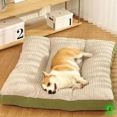 lit-chien-confortable-doux-douillet-en-velours