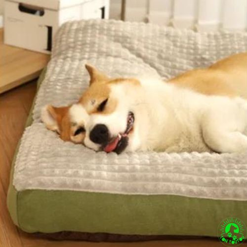 lit-chien-confortable-doux-douillet