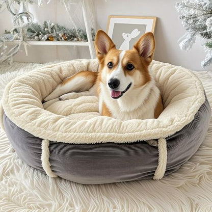 Chien heureux allongé dans un lit chien rond douillet en velours gris avec intérieur moelleux crème, idéal pour confort et bien-être.