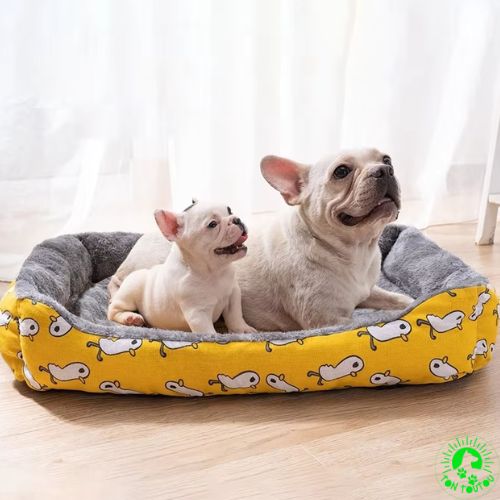 lit-chien-jaune-apaisant-anti-stress-confortable