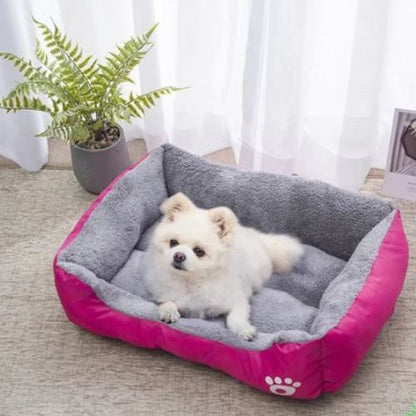 Petit chien blanc couché sur un lit chien  rose, modèle anti-stress pour nuits paisibles