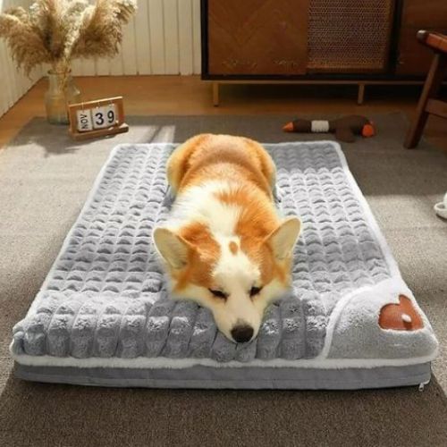 Chien corgi couché sur un lit chien orthopédique gris, matelas confortable et amovible pour un sommeil réparateur