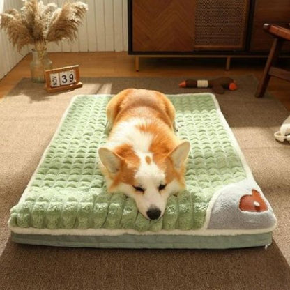 Chien corgi couché sur un lit chien orthopédique vert, matelas confortable et amovible pour un sommeil réparateur