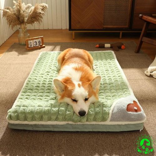 lit-chien-orthopedique-amovible-resistant-vert