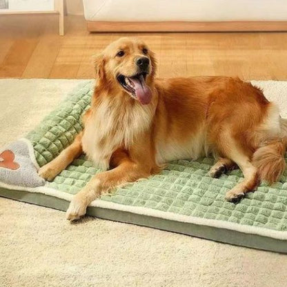 Un labrador allongé paisiblement sur un lit chien orthopédique déhoussable et confortable améliore le sommeil et apaise l’arthrose