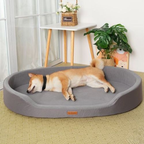 un lit chien gris avec rebords surélevés moelleux posé dans une pièce lumineuse avec un Shiba Inu allongé paisiblement dedans.