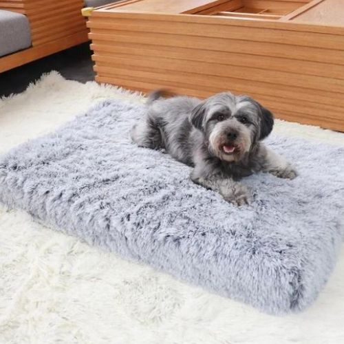 Petit lit chien doux et épais en fausse fourrure grise, idéal pour chiot ou petit compagnon