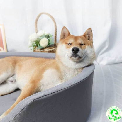 LIT CHIEN | OVALIT™